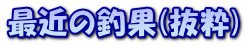 ŋ߂̒މ()